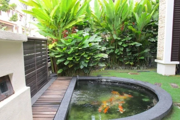 Detail Desain Rumah Dengan Kolam Ikan Nomer 50