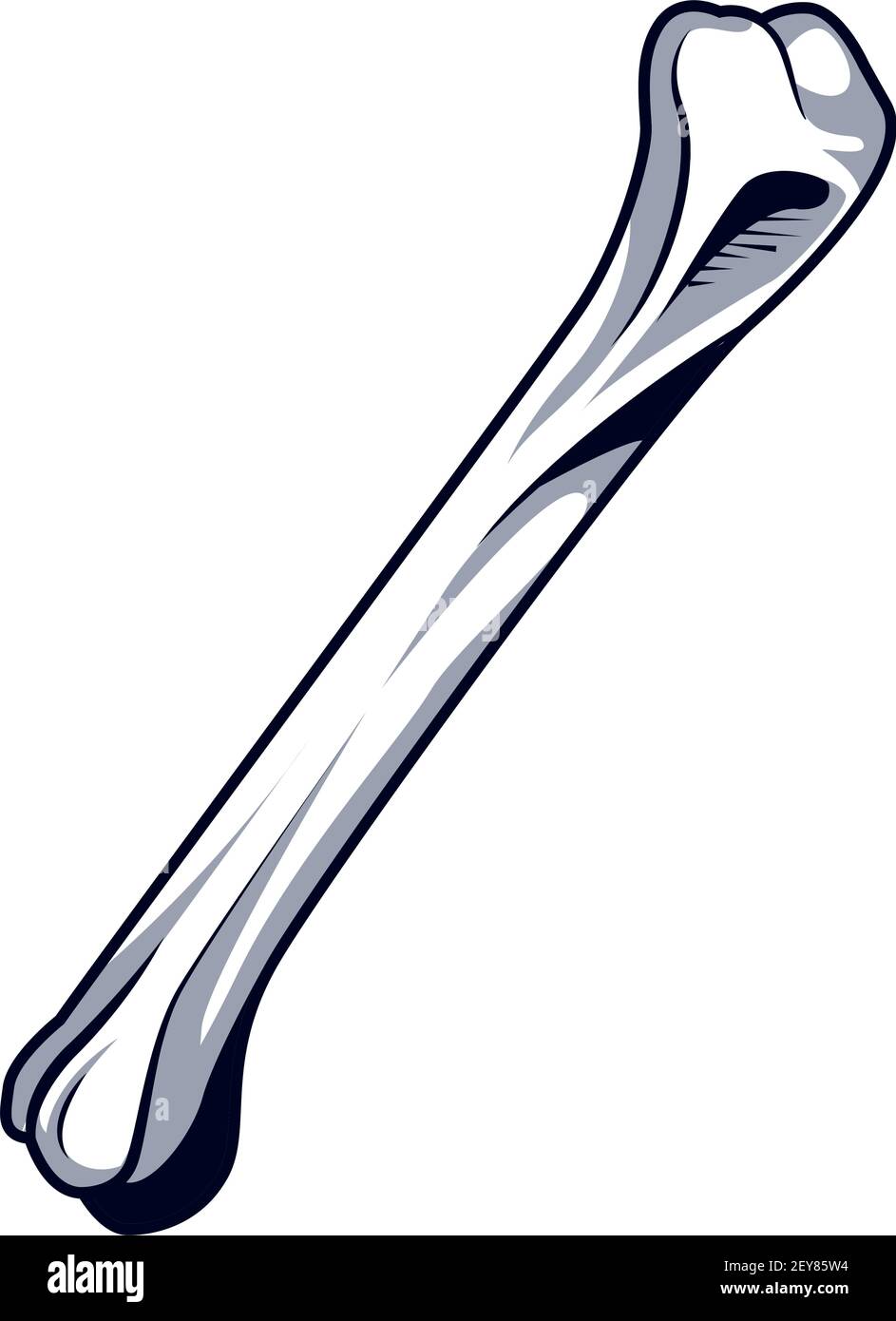 Detail Knochen Im Arm Nomer 9