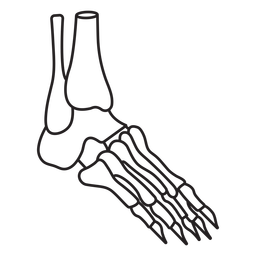 Detail Knochen Im Arm Nomer 16