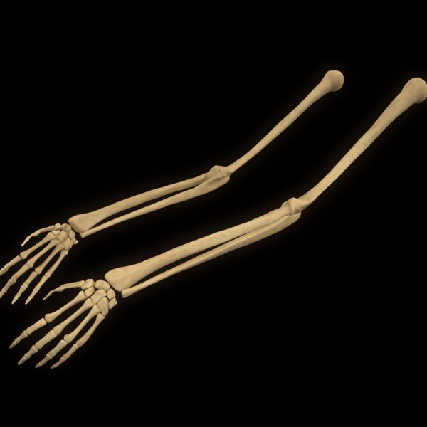 Detail Knochen Im Arm Nomer 3