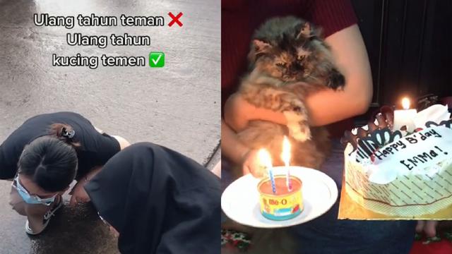 Detail Kue Ulang Tahun Untuk Kucing Nomer 37