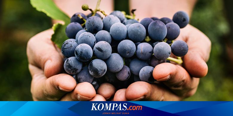 Detail Kulit Buah Yang Keras Nomer 31