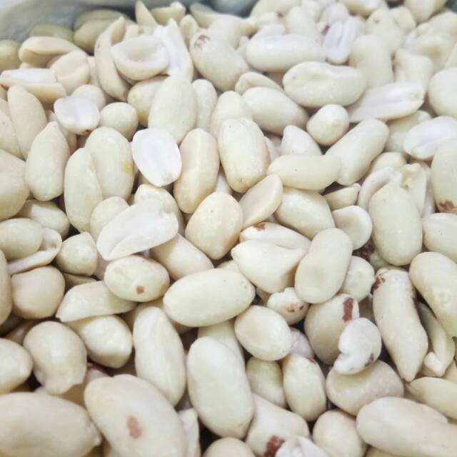 Detail Kulit Kacang Tanah Nomer 24