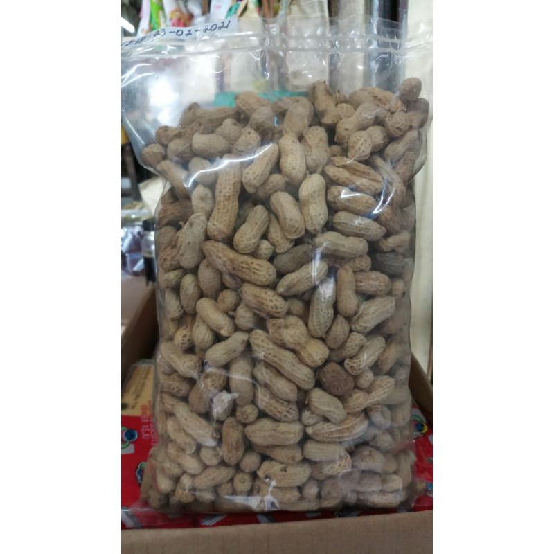 Detail Kulit Kacang Tanah Nomer 31