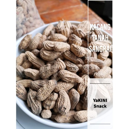 Detail Kulit Kacang Tanah Nomer 40