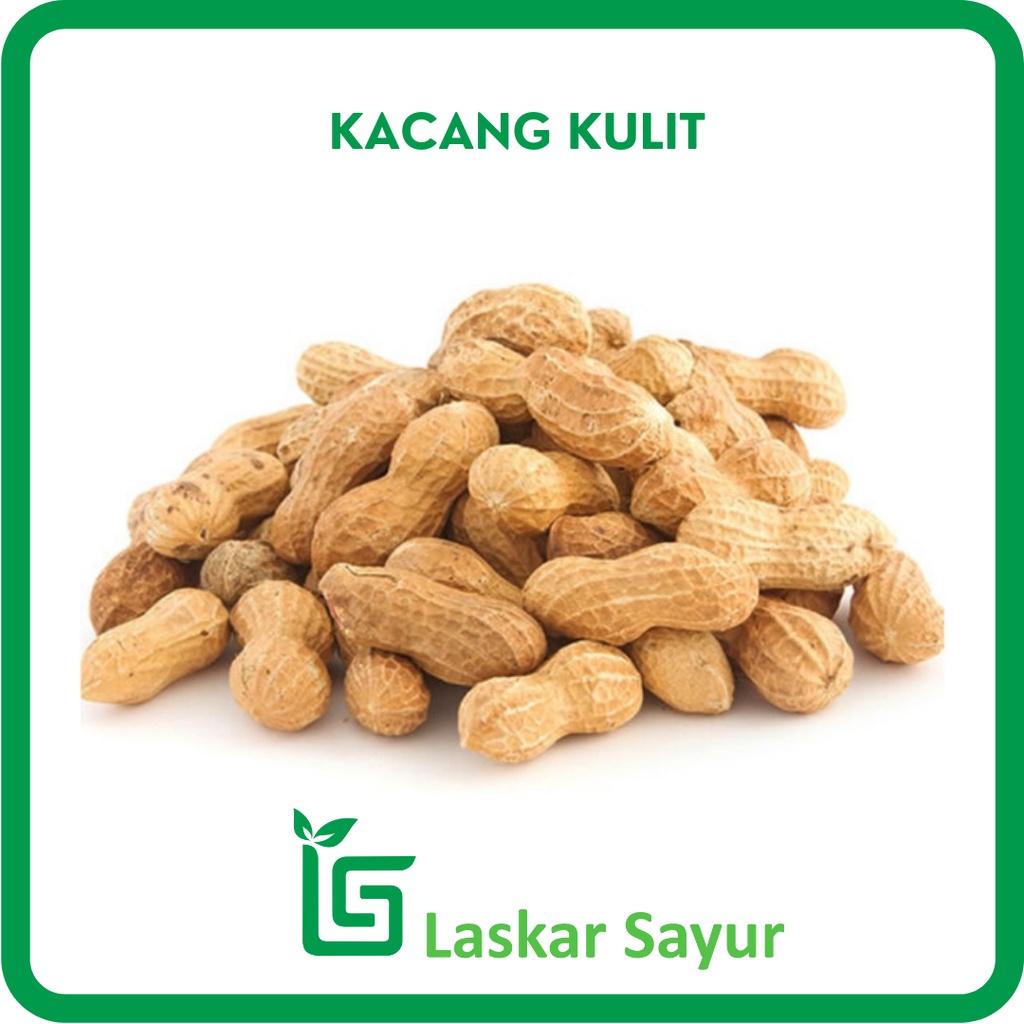 Detail Kulit Kacang Tanah Nomer 42