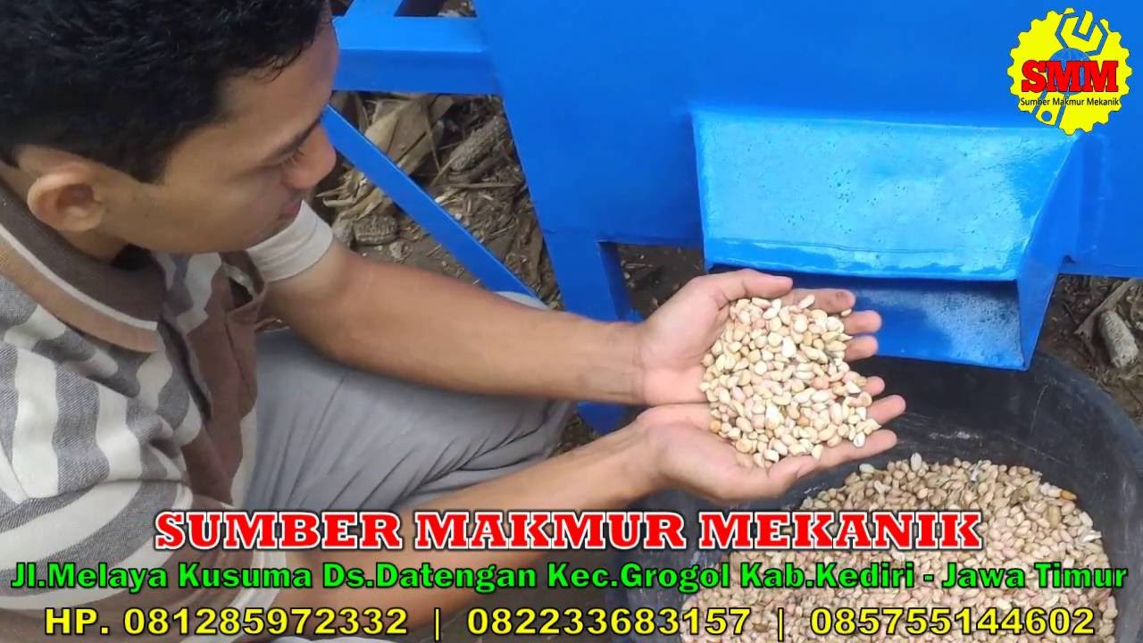 Detail Kulit Kacang Tanah Nomer 49