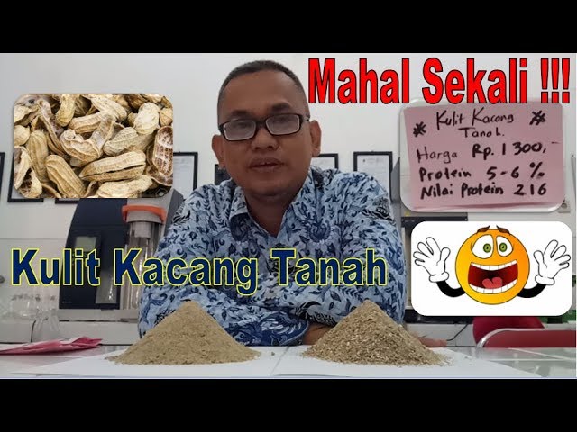 Detail Kulit Kacang Tanah Nomer 52