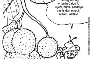 Detail Mewarnai Gambar Rambutan Nomer 23