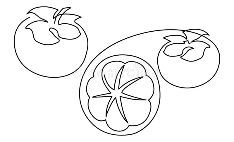 Detail Mewarnai Gambar Rambutan Nomer 45