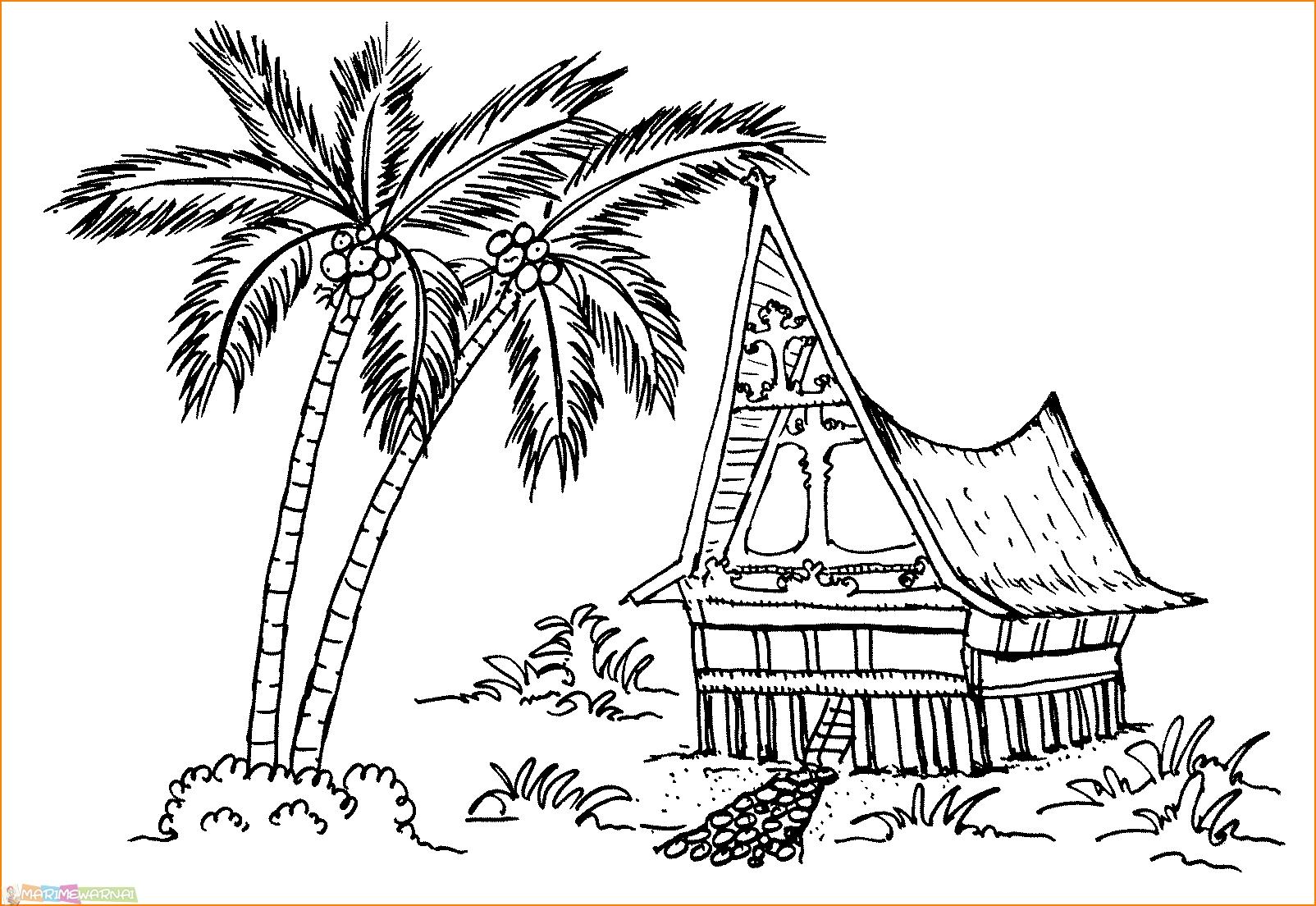 Detail Mewarnai Gambar Rumah Adat Papua Koleksi Nomer 26
