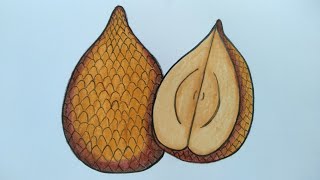 Detail Mewarnai Gambar Salak Nomer 3