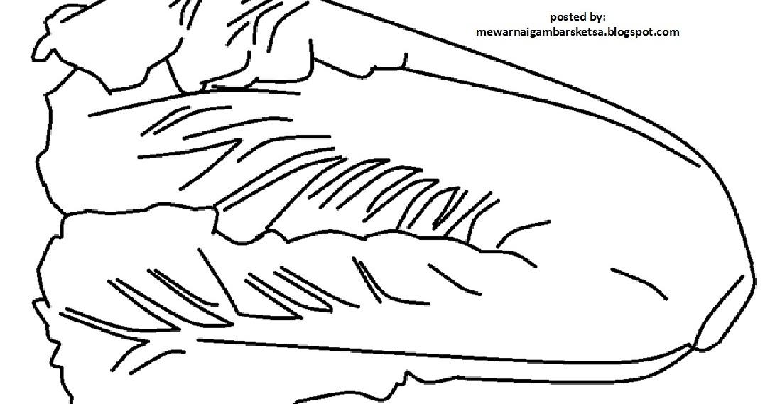 Detail Mewarnai Gambar Sawi Nomer 18