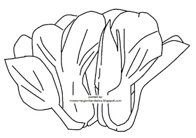 Detail Mewarnai Gambar Sawi Nomer 6