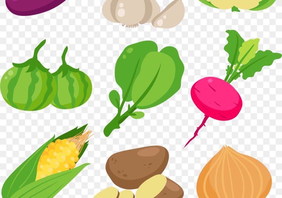 Detail Mewarnai Gambar Sayur Bayam Nomer 15