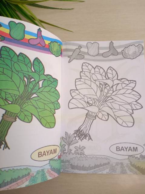 Detail Mewarnai Gambar Sayur Bayam Nomer 16