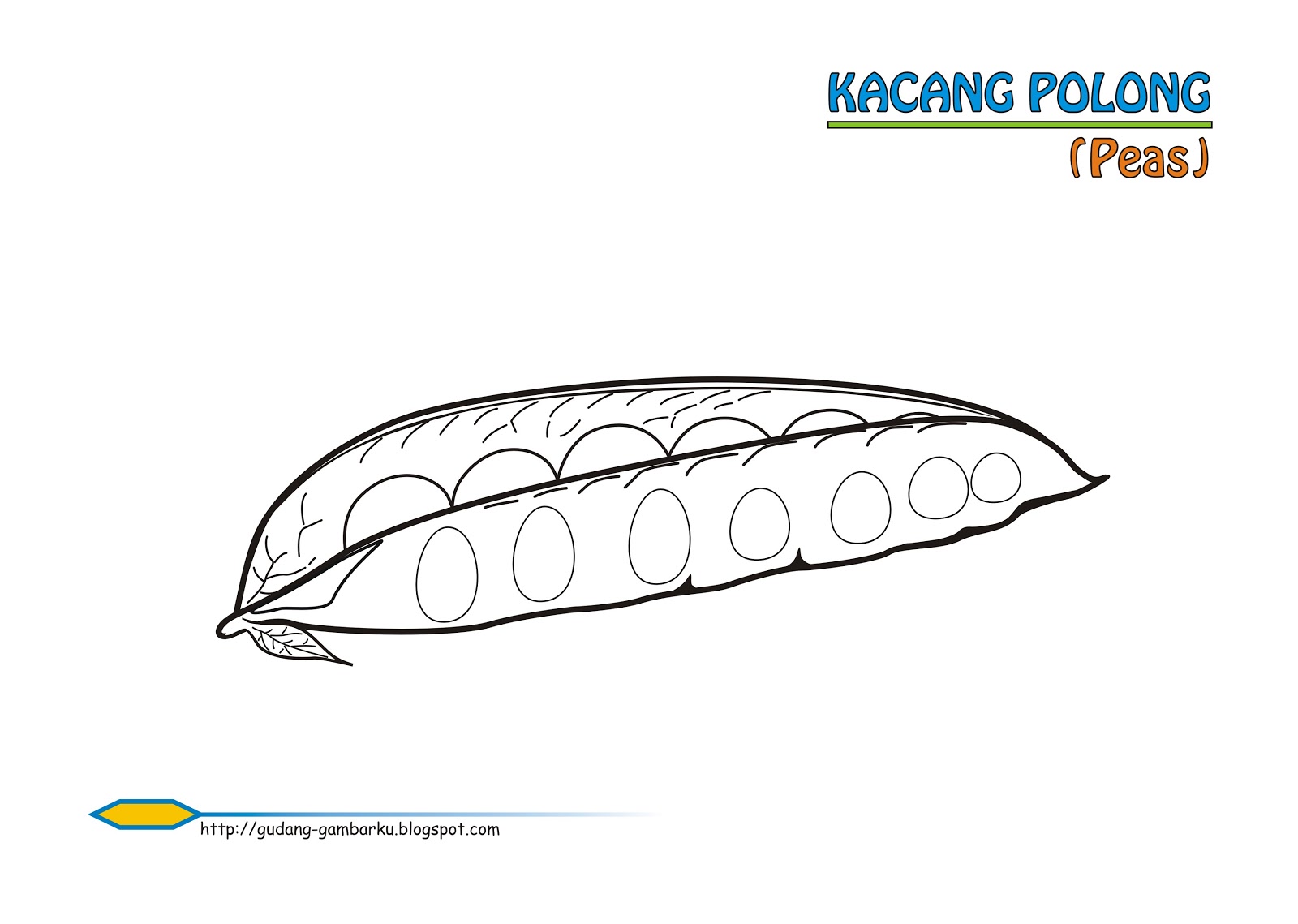 Detail Mewarnai Gambar Sayur Kacang Panjang Nomer 13