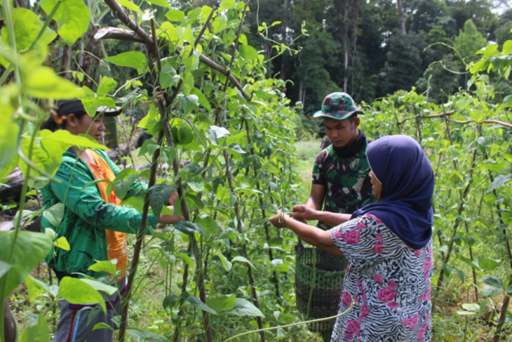 Detail Mewarnai Gambar Sayur Kacang Panjang Nomer 39