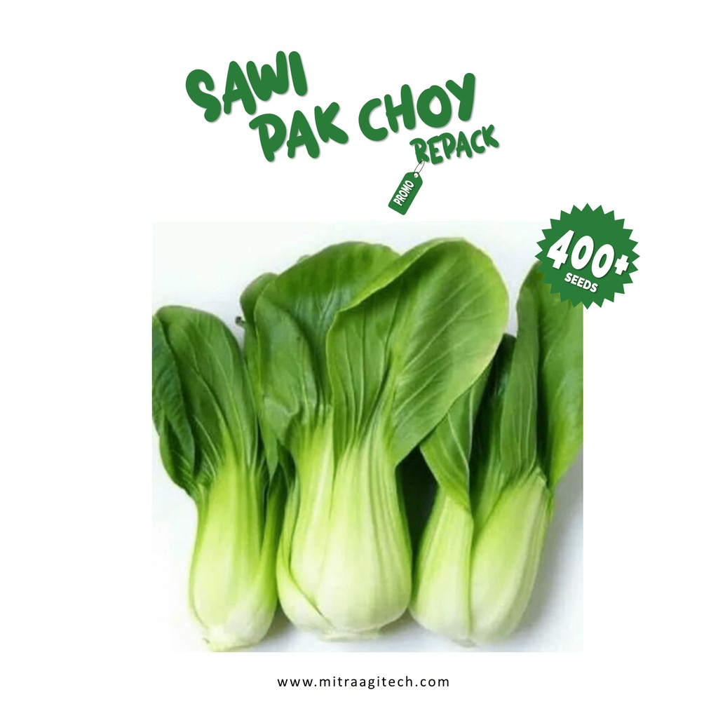 Detail Mewarnai Gambar Sayur Sawi Nomer 37