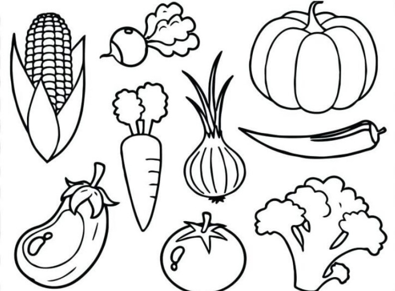 Detail Mewarnai Gambar Sayur Sayuran Nomer 4