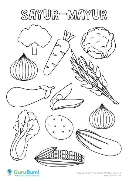 Detail Mewarnai Gambar Sayur Sayuran Nomer 28