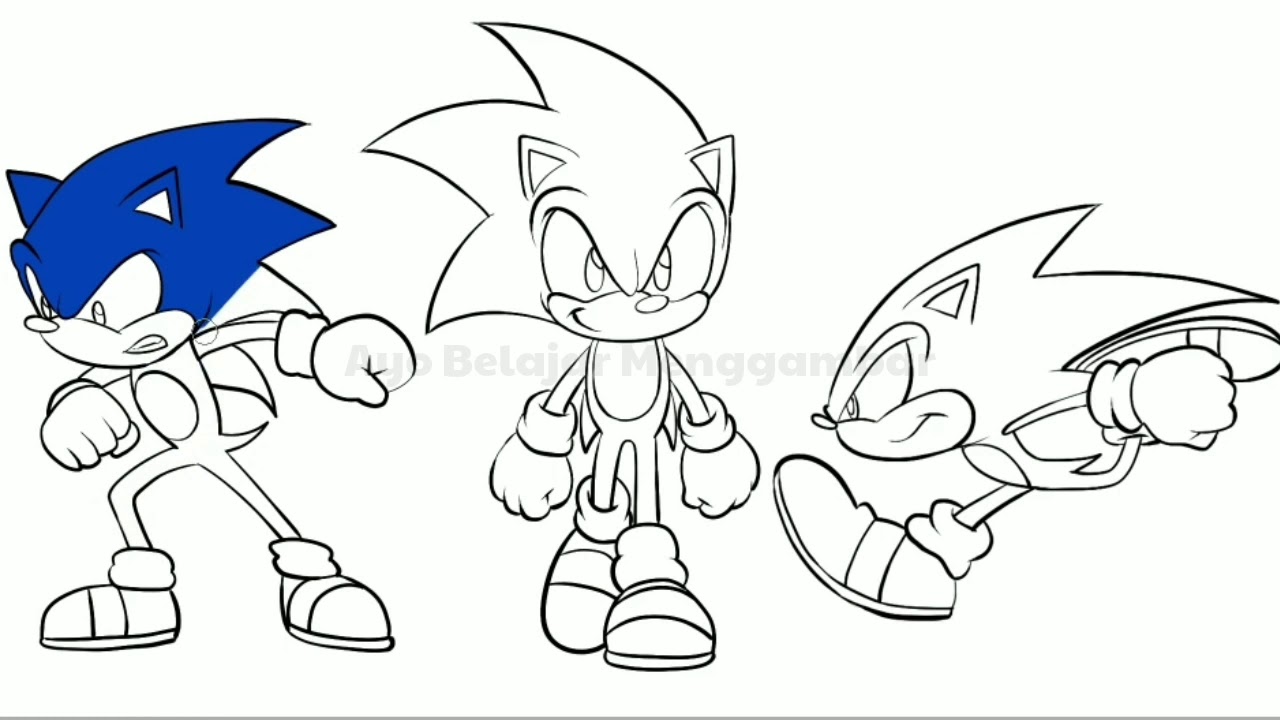 Detail Mewarnai Gambar Sonic Nomer 52
