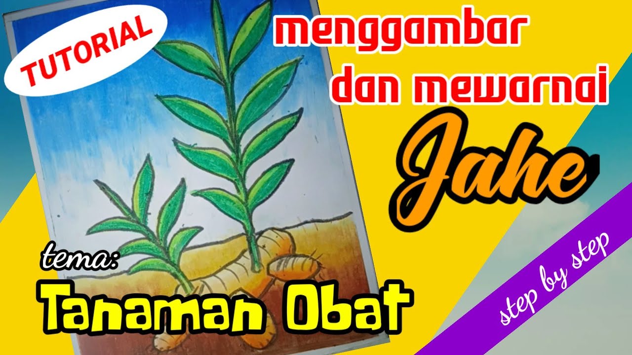 Detail Mewarnai Gambar Tanaman Obat Nomer 35