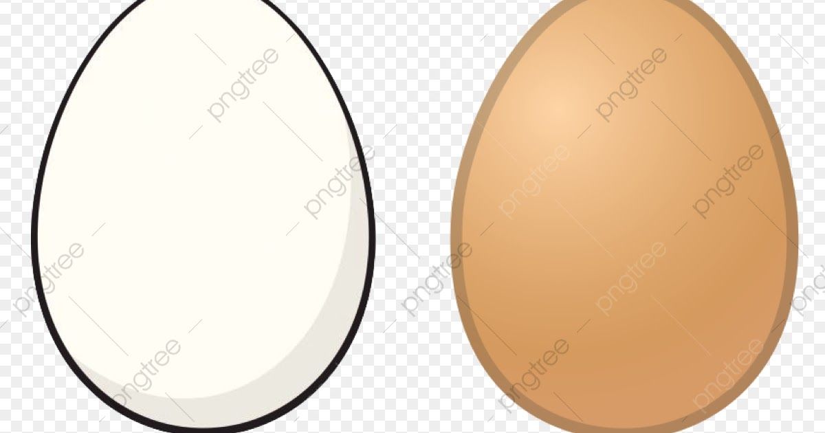 Detail Mewarnai Gambar Telur Ayam Nomer 13