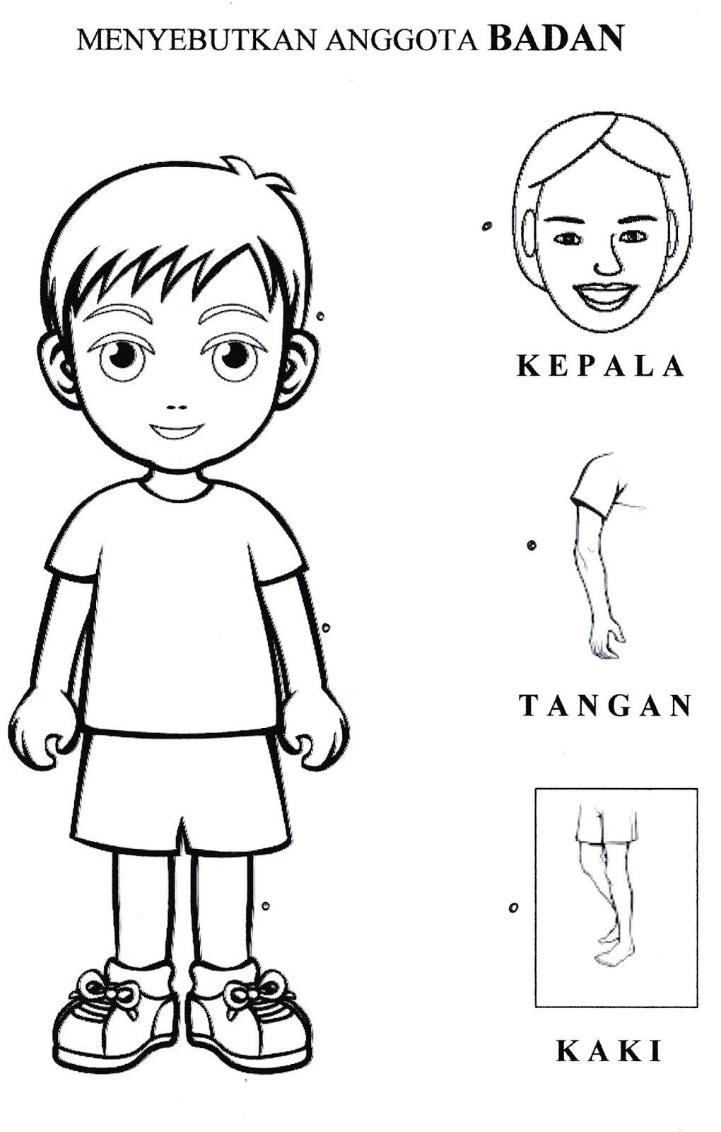 Detail Mewarnai Gambar Tema Diri Sendiri Nomer 3