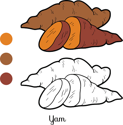 Mewarnai Gambar Ubi Jalar - KibrisPDR