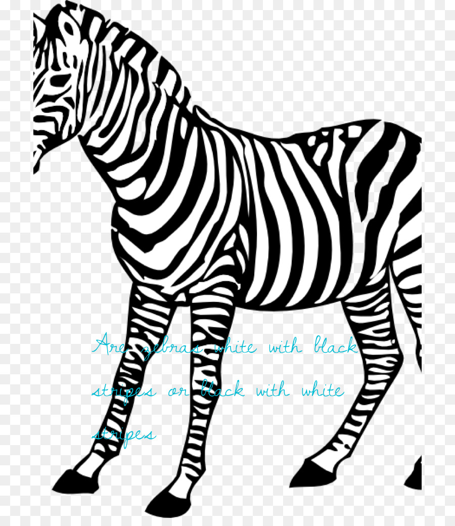Detail Mewarnai Gambar Zebra Nomer 22