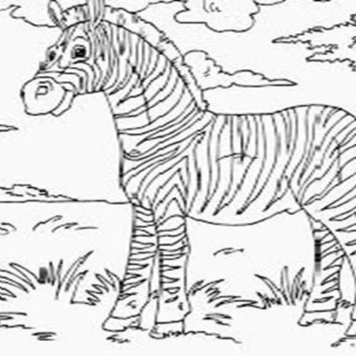 Detail Mewarnai Gambar Zebra Nomer 24