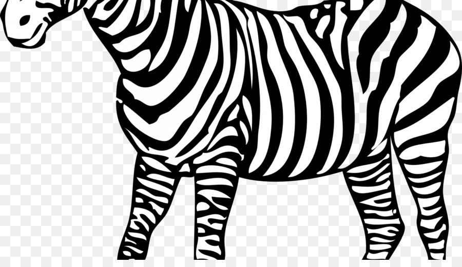 Detail Mewarnai Gambar Zebra Nomer 33