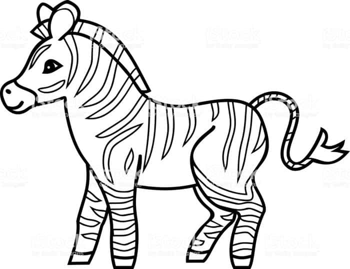 Detail Mewarnai Gambar Zebra Nomer 48