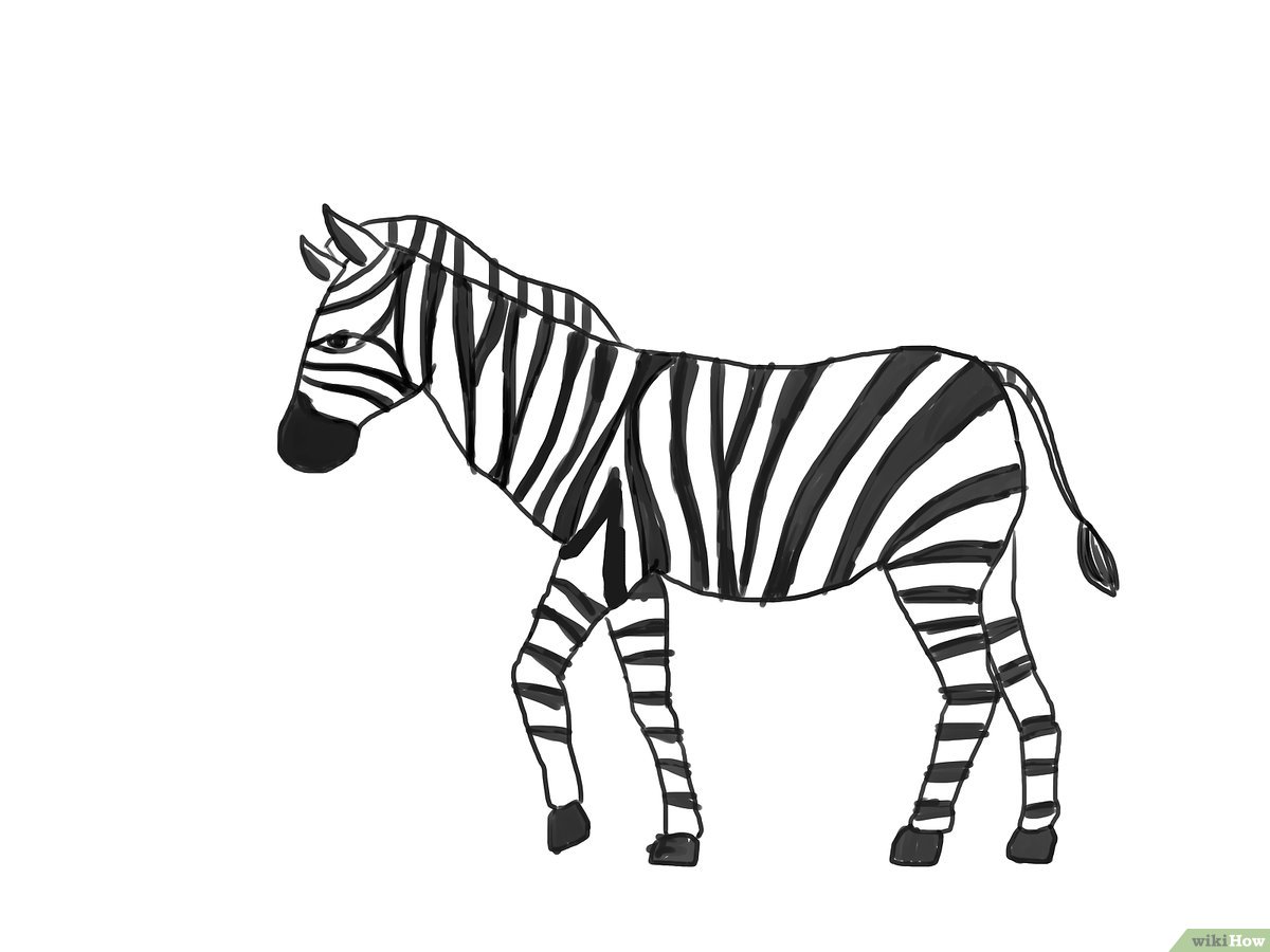Detail Mewarnai Gambar Zebra Nomer 9