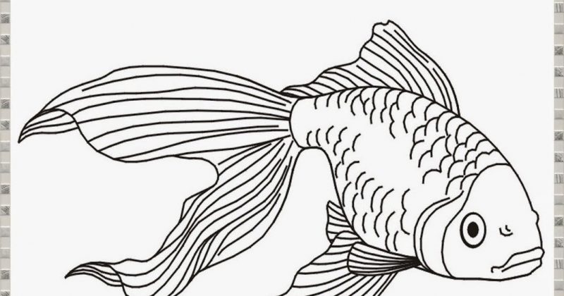 Detail Mewarnai Ikan Mas Koki Nomer 23