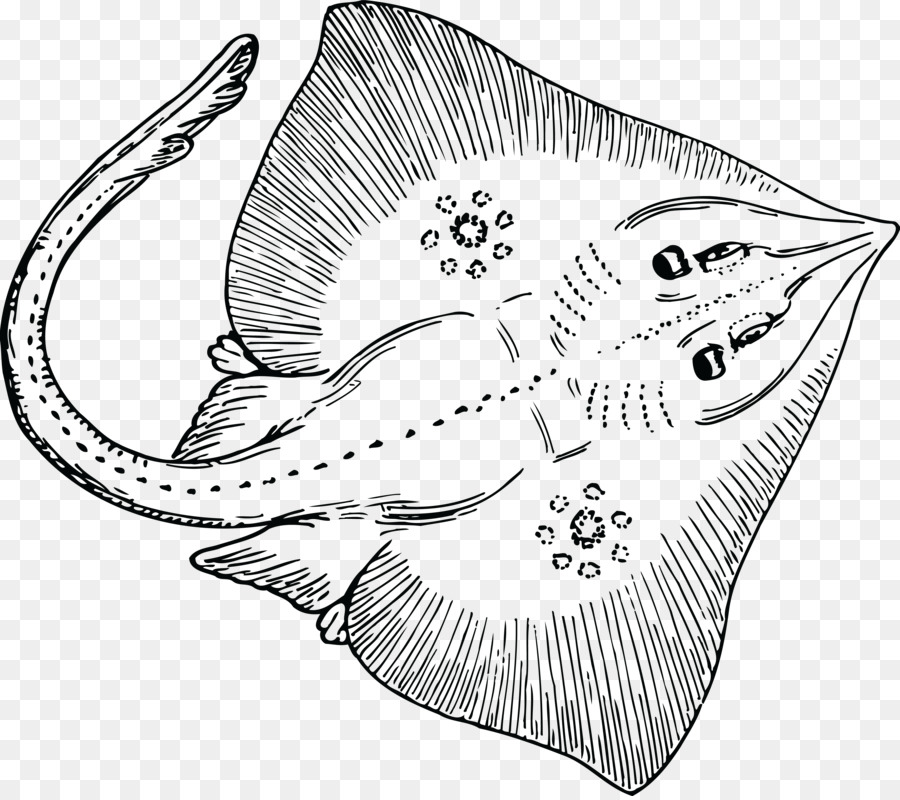 Detail Mewarnai Ikan Pari Nomer 3