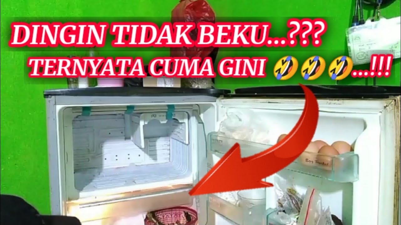 Detail Kulkas Tidak Beku Tapi Dingin Nomer 11