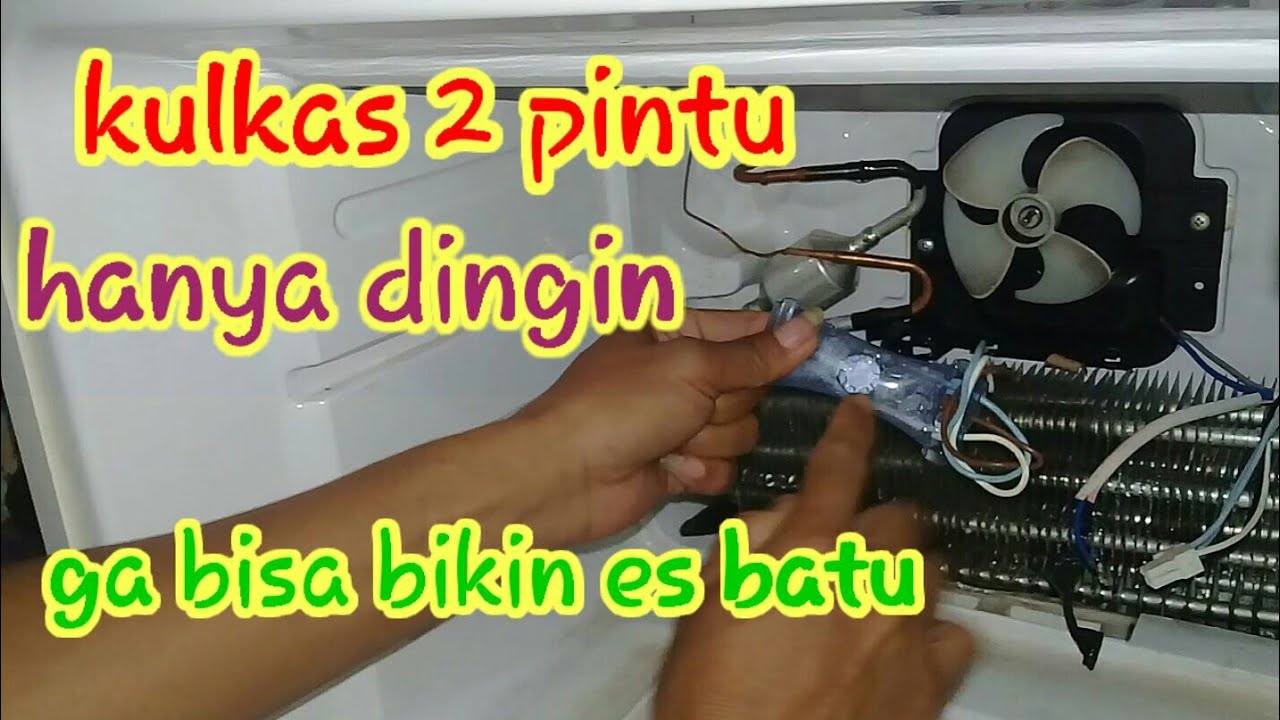 Detail Kulkas Tidak Beku Tapi Dingin Nomer 12