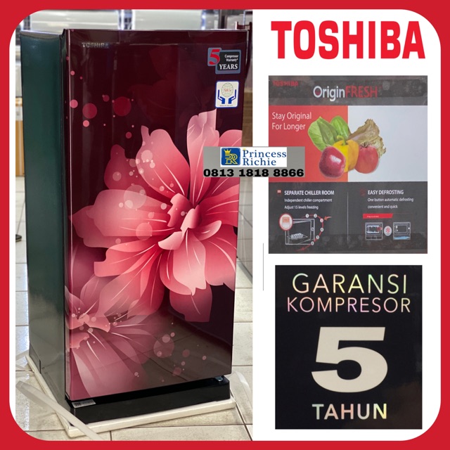 Detail Kulkas Toshiba 1 Pintu Tanpa Bunga Es Nomer 6