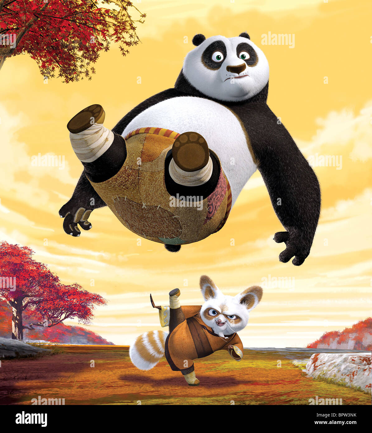 Detail Kung Fu Panda Poo Nomer 16