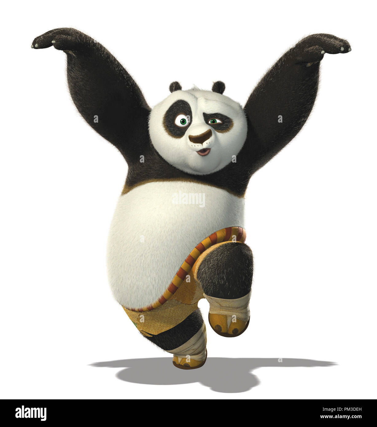 Detail Kung Fu Panda Poo Nomer 3