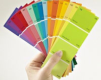 Detail Kuning Lemon Warna Cat Hijau Lemon Nomer 36