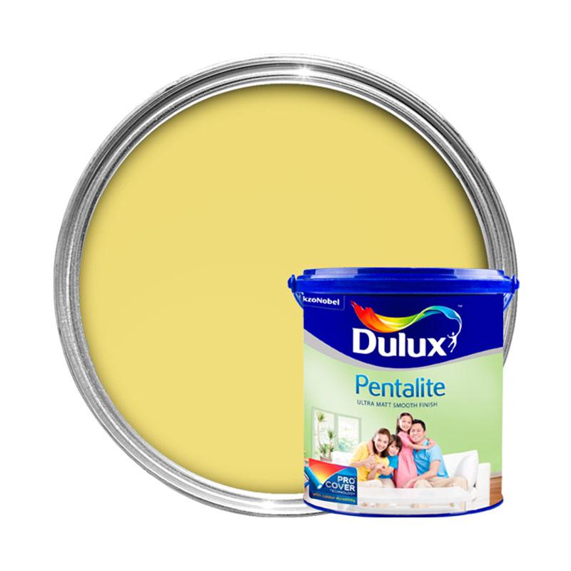 Detail Kuning Lemon Warna Cat Hijau Lemon Nomer 8