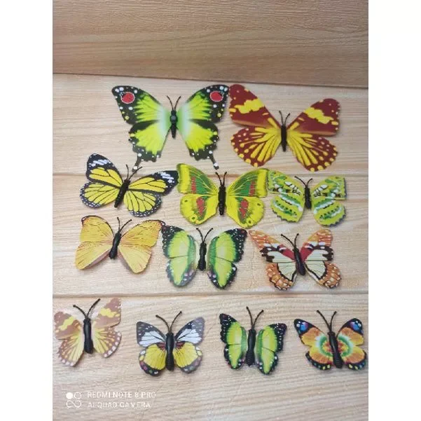 Detail Kupu Kupu 3d Nomer 49