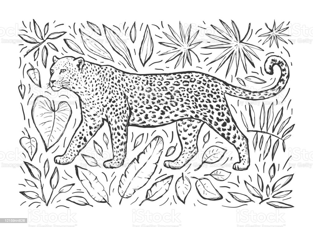Detail Mewarnai Macan Tutul Nomer 28