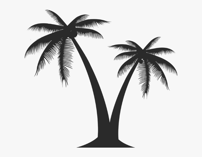 Detail Miami Palm Trees Png Nomer 2