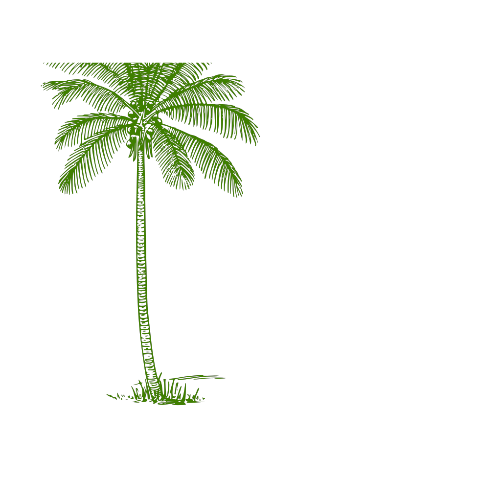 Detail Miami Palm Trees Png Nomer 43