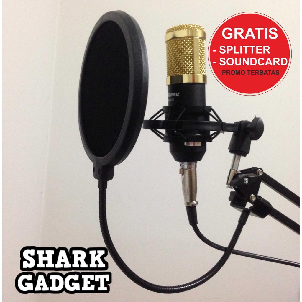 Detail Mic Studio Rekaman Nomer 3