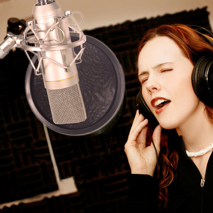 Detail Mic Studio Rekaman Nomer 4